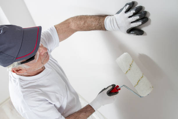 Best Mold Odor Removal Services  in Jamul, CA