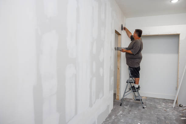 Best Mold Damage Restoration  in Jamul, CA