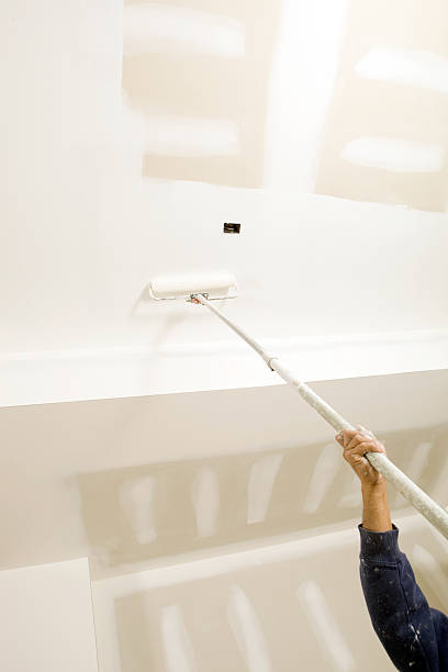 Best Environmental Consulting for Mold Prevention  in Jamul, CA